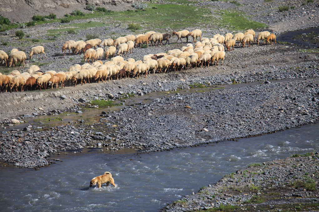 Xinaliq